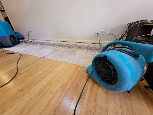Professional Water Removal technician working in New Martinsville, WV